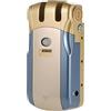 Ejoyous Serratura Elettronica con 4 Telecomandi, Serratura Telecomando Wireless Intelligente Invisibile per di Sicurezza Villa Smart Home Office (Blu&Oro)