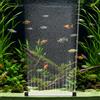 AXFEE Diffusore Aria per Acquario, 25cm Pietra ad Aria per Acquario | Basso rumore, Della Barra del Diffusore di Ossigeno, Distribuzione Uniforme Delle Bolle, per Acquari e Idroponici