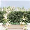 LKJVFCPW Arco da matrimonio rotondo, in acciaio, 220 x 45 x 200 cm, oro | Telaio in acciaio verniciato a polvere, per giardino e interni, decorazione fai da te
