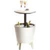 Keter 17186745 Cool Bar, Tavolino da Caffè in Plastica, Allungabile, Bianco/Marrone