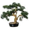DRW Pianta artificiale di un bonsai di cipresso in PE e PVC con vaso in verde e marrone, 52 x 30 x 48 cm
