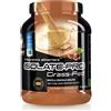 NET Integratori ISOLATE PRO Grass Fed - 700g Wafer Nocciola - Proteine Isolate Con EAA Aminoacidi Essenziali E BCAA - Massimizza La Sintesi Proteica e La Crescita Muscolare