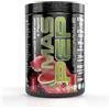 NET Integratori MAS PEP LIPOSOMIALE - Pre-Intra e Post Workout con EAA Amminoacidi Essenziali e BCAA - Massimizza la Sintesi Proteica, la Crescita e il Recupero Muscolare (Anguria)