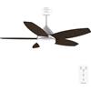 Cecotec - Ventilatore da Soffitto con Luce EnergySilence Aero 4200 Bianco e Legno Scuro - 53W, Diametro 42", Luce LED 15W in 3 Tonalità, Telecomando, Timer Selezionabile, 3 Velocità e 5 Pale
