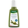RAUSCH Shampoo antisebo alla quercia marina 200ml cuoio capelluto grasso | Riduce il sebo in eccesso, deterge senza appesantire, vegano & senza siliconi, con estratto di equiseto, Svizzera