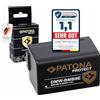PATONA Protect Batteria per Panasonic DMW-BMB9 DMB9, 895mAh NTC-Sensor | Batteria con box protettivo per Lumix DC FZ82 FZ83 DMC FZ40 FZ45 FZ48 FZ60 FZ70 FZ72 FZ100 FZ150 Leica BP-DC9 V-Lux 2