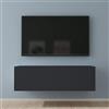 Mai & Mai Mobile TV 100x40,2x30cm, Antracite opaco | Mobile TV per Televisore, Armadietto per TV Basso Soft-close con Ante per Soggiorno, Camera da Letto Fernsehschrank02