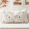 Artscope 1 Pezzi Zucca Federe in Lana Corta Velluto Copricuscini Morbido Decorativo autunnale Fodere per Cuscino Lusso Stile per Divano Camera da Letto Carina Zucca Beige 30x50 cm