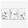 ZOYIEP Set di 3 poster per soggiorno, decorazione per camera da letto, lavanda eucalipto, piante eleganti da parete, senza cornice (13 x 18 cm)