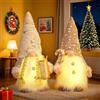 HSMHLYYB 2 Pezzi Gnomi Natalizi, Gnomi Ornamenti Natalizi con Peluche LED Luce Luminosi, Elfo Natale Gnomi Natalizi Luminosi, Elfo Babbo Natale Peluche per Albero Natale Tavolo Camino