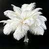 Fenisonavy Piume di struzzo naturali, 10 pezzi, 20-25 cm, piume per decorazione di nozze, fai da te, decorazioni natalizie, decorazione per vasi e giocattoli per gatti (bianco)
