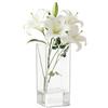 TW1TGOFT Vaso per fiori in acrilico, 25 x 10 x 10 cm, trasparente, quadrato, infrangibile, leggero e facile da pulire, piccola bottiglia ecosistemica per decorazione domestica, tavolo, bancone, centrotavola