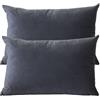 SWJ-swjssb Federa Cuscino 50x70 40x70 60x80 cm Copri Cuscino Divano,Copricuscino Per Divano con Cerniera Federe in Velluto per divano letto arredamento set di due Copricuscini ( Color : #1 , Size : 50x70 cm set