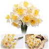 Bakiauli 6 Pezzi Fiori Artificiali Narcisi, Fiori Finti per Decorazioni Resistente ai Raggi UV, Fiori di Seta Finti per Balcone Giardino Casa Vaso di Fiori