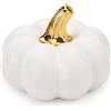 Meiwlong Zucca artificiale in ceramica da 10,2 cm, decorazione per Halloween, Ringraziamento, raccolto autunnale, centrotavola, mensola e mensola - bianco