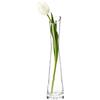 QUUPY Vaso per fiori, 25 cm, in vetro, decorazione per casa, matrimoni e Natale