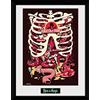GB eye Ltd, Rick e Morty, Anatomy Park, Foto Incorniciata 30x40 cm