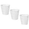 AlcoFermBrew 3 x Forma plastica per formaggio 12 x 8.2cm - Stampo per formaggio, Forme e fuscelle, Forme formaggio