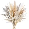 Sunyunze 79 Pz Fiori Secchi Decorativi Pampas Essiccata Naturale 43 cm | Fiori Secchi Decorativi per Vaso per Tavolo Matrimonio Soggiorno Camera da Letto Giardino Festa Natalizie Boho