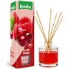 Tenka Profumatore per Ambienti Mikado, Fragranza Frutti Rossi, Durata Superiore a 12 Settimane, 0% Alcol, Non Infiammabile, Design Elegante per la Casa - 100 ml