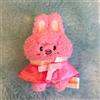 Stray Kids RUN IT Skzoo Secret Peluche Micro Dwaekki Changbin