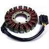 Zaddox Statore Alternatore compatibile con Honda CBR 1000 RR Fireblade 04-07 Generatore