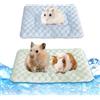 FOSDICK FOSDCIK 2 PCS Tappetino Refrigerante per Coniglio Cani, 32x21cm Piccoli Animali di Raffreddamento Mat, Tappeto Rinfrescante per Cani Gatti in Estate