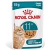 ROYAL CANIN AGEING 11+ Jelly | 12 x 85 g | Cibo umido per gatti anziani a partire dall'11° anno di età | Formula con HealthyAge7™ Complex | Gustosi bocconcini in gelatina