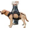 COODEO Imbracatura per Cane, Gilet di Supporto Completo e Recupero, Regolabile e Traspirante, per Cani Anziani, Disabili, con Lesioni Articolari, Artrite e Paralisi. (Nero, L)