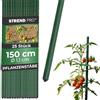 STREND PRO Tutori da Giardino 150 cm, Set da 25 | Ø 11 mm, Acciaio Rivestito in Plastica, Verde | Per Pomodori e Fagioli