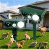 AXFEE 2PZ Repellente per Gatti, Ultrasuoni per Gatti, Ricarica solare e USB | Dissuasore per Piccioni, 4 Modalità Regolabili, IPx6 Impermeabile, può Cacciare Piccioni, Uccelli, Cani, gatti, Topi, Volpi
