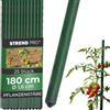 STREND PRO Tutori da Giardino 180 cm, Set da 25 | Ø 16 mm, Acciaio Rivestito in Plastica, Verde | Per Pomodori e Fagioli