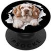 4ClumberSpanielLovers Divertente Clumber Spaniel Sbirciando Carino Amante Del Cane Mamma Papà PopSockets PopGrip Adesivo