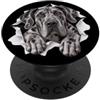 4GreatDaneLovers Divertente alano che sbircia carino amante dei cani mamma papà PopSockets PopGrip Adesivo