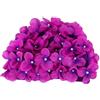 NUOBESTY Cuffia Piscina Donna Stoffa Fiori 3d, per Nuoto Estivo | Nylon Porpora, Leggera e Facile da Indossare, Protegge Chioma e Orecchie in Piscina