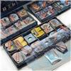 e-Raptor Insert - Frosthaven Stampa UV - English
