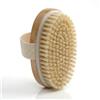 Generico Spazzola Corpo a Secco Setole Naturali Dry Brushing Anticellulite Esfoliante Drenante