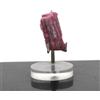 A Bijoux Pietre E Minerali. Tormalina Rubellite. 49,05 Ct. Miniera Stewart, Tormalina Q