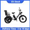 Daibot Triciclo Elettrico 750W per 2 Persone con Cestino per Passeggeri, 48V 18Ah, Bici Elettrica a 3 Ruote per Trasporto Famiglia