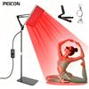 peicon Lampada per terapia a luce rossa LED 660nm 850nm per la cura della pelle, pannello a luce rossa con 225 LED, supporto e gancio, lampada a infrarossi per viso e corpo