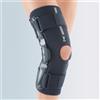 Fgp Ginocchiera armata con snodo policentrico fisso FGP Phylo 75