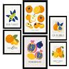 Nacnic Set di 6 poster di Cibo e Nutrizione. Frutti Rotondi. Stampe Naturali e Botaniche per Interior Design e Decorazione. A3 & A4, senza cornici.