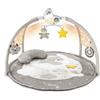 CHICCO TOYS Chicco First Dream Enjoy Colors Playgym - Palestrina Multifunzione Elettronica