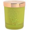Etro Candela Profumata Dafne 170 Gr