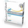 NEXTMUNE ITALY SRL Nextmune Drn Enterofilus Mangime Complementare Simbiotico Cani E Gatti 12 Fiale