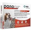 MSD ANIMAL HEALTH - PANACUR*FORTE 10 cpr 500 mg