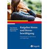 Tobias Stächele Ratgeber Stress und Stressbewältigung: Informationen (Tascabile)