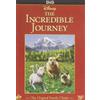 WALT DISNEY PICTURES The Incredible Journey (DVD) Rex Allen Beth Amos Robert Christie Eric Clavering