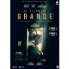 Vision Il Silenzio Grande (DVD) Gallo Buy Confalone Fotaras Linfatti De Francesco