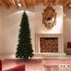 EDG Albero di Natale Pino Slim 240 cm Verde con 1790 Rami